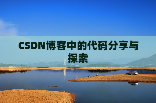 CSDN博客中的代码分享与探索
